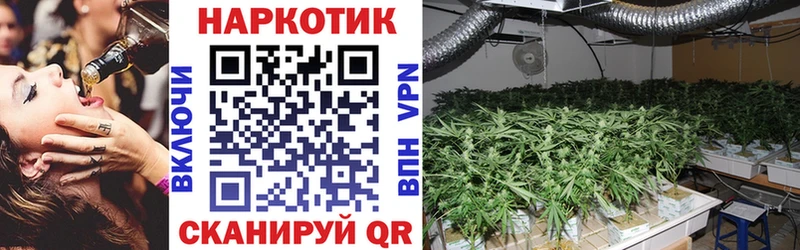 Где можно купить наркотики Орехово-Зуево КЕТАМИН  Меф  Амфетамин  ГАШ  Конопля 