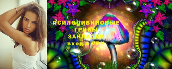 apvp Алзамай