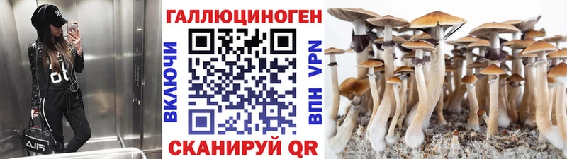 что такое наркотик  Орехово-Зуево  Галлюциногенные грибы прущие грибы 